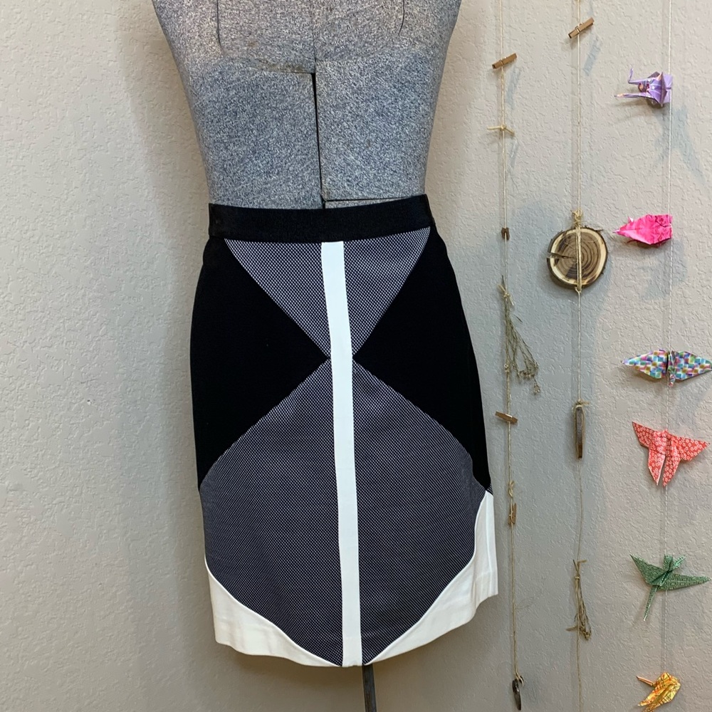 Ann Taylor Pencil Skirt